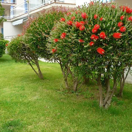 Piscines - Climatisation - Calme - Wifi - Plages - Vue - Bord De - Parking * Roses